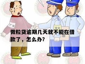 微粒贷逾期几天就不能在借款了，怎么办？