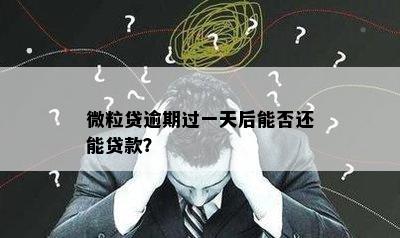 微粒贷逾期过一天后能否还能贷款？