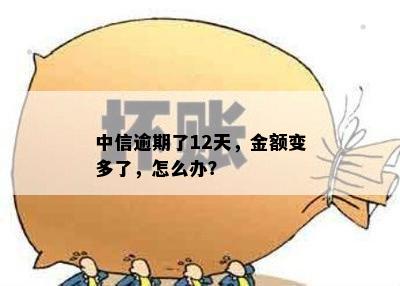 中信逾期了12天，金额变多了，怎么办？