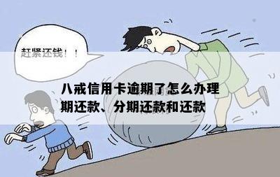 八戒信用卡逾期了怎么办理期还款、分期还款和还款