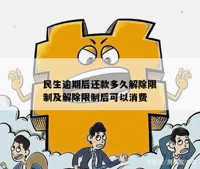 民生逾期后还款多久解除限制及解除限制后可以消费