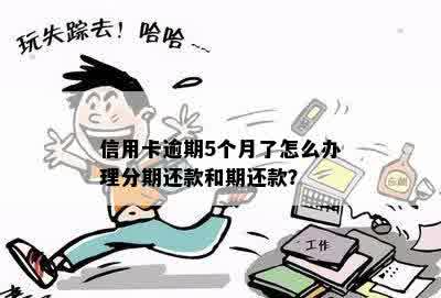 信用卡逾期5个月了怎么办理分期还款和期还款？