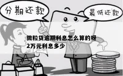 微粒贷逾期利息怎么算的呀2万元利息多少