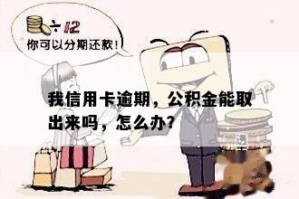 我信用卡逾期，公积金能取出来吗，怎么办？