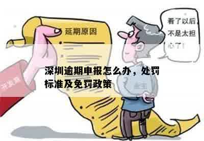 深圳逾期申报怎么办，处罚标准及免罚政策