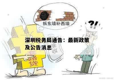 深圳税务局通告：最新政策及公告消息