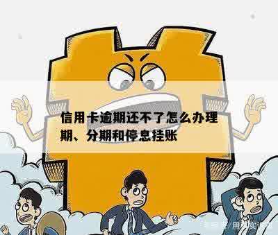 信用卡逾期还不了怎么办理期、分期和停息挂账