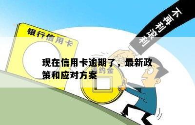 现在信用卡逾期了，最新政策和应对方案