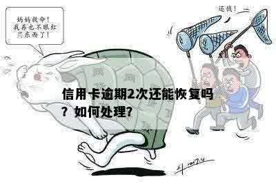 信用卡逾期2次还能恢复吗？如何处理？