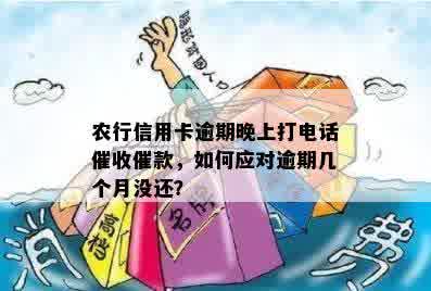 农行信用卡逾期晚上打电话催收催款，如何应对逾期几个月没还？