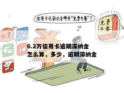 6.2万信用卡逾期滞纳金怎么算，多少，逾期滞纳金