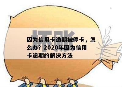 因为信用卡逾期被停卡，怎么办？2020年因为信用卡逾期的解决方法