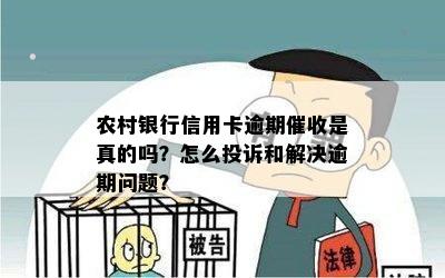 农村银行信用卡逾期催收是真的吗？怎么投诉和解决逾期问题？