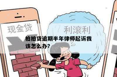 拍拍贷逾期半年律师起诉我该怎么办？