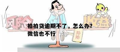 拍拍贷逾期不了，怎么办？微信也不行