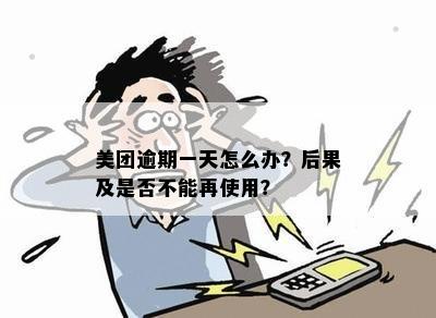 美团逾期一天怎么办？后果及是否不能再使用？