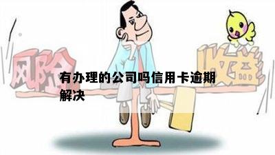 有办理的公司吗信用卡逾期解决