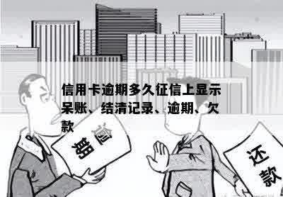 信用卡逾期多久征信上显示呆账、结清记录、逾期、欠款