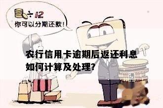 农行信用卡逾期后返还利息如何计算及处理？