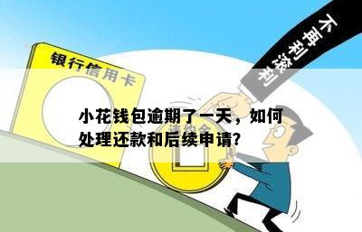 小花钱包逾期了一天，如何处理还款和后续申请？