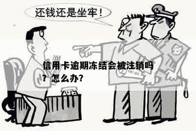 信用卡逾期冻结会被注销吗？怎么办？