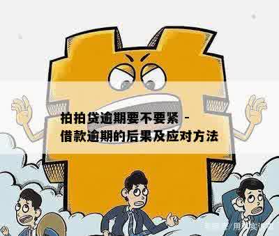 拍拍贷逾期要不要紧 - 借款逾期的后果及应对方法