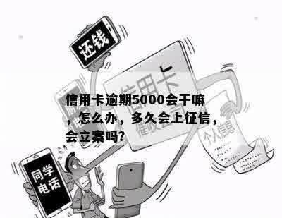 信用卡逾期5000会干嘛，怎么办，多久会上征信，会立案吗？