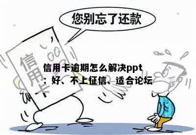 信用卡逾期怎么解决ppt：好、不上征信、适合论坛