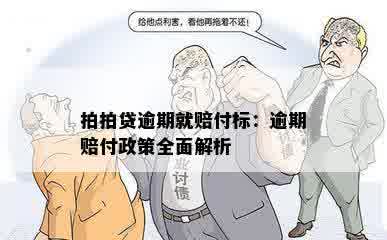 拍拍贷逾期就赔付标：逾期赔付政策全面解析