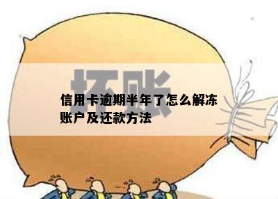 信用卡逾期半年了怎么解冻账户及还款方法