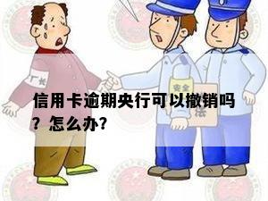 信用卡逾期央行可以撤销吗？怎么办？