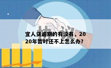 宜人贷逾期的有没有，2020年暂时还不上怎么办？