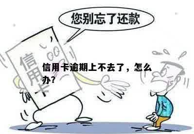 信用卡逾期上不去了，怎么办？