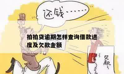 拍拍贷逾期怎样查询借款进度及欠款金额