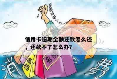 信用卡逾期全额还款怎么还，还款不了怎么办？