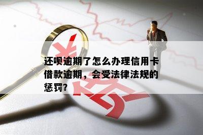 还呗逾期了怎么办理信用卡借款逾期，会受法律法规的惩罚？