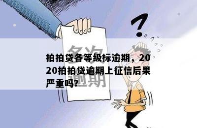 拍拍贷各等级标逾期，2020拍拍贷逾期上征信后果严重吗？