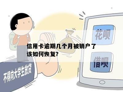 信用卡逾期几个月被销户了该如何恢复？