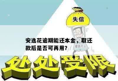 安逸花逾期能还本金，取还款后是否可再用？