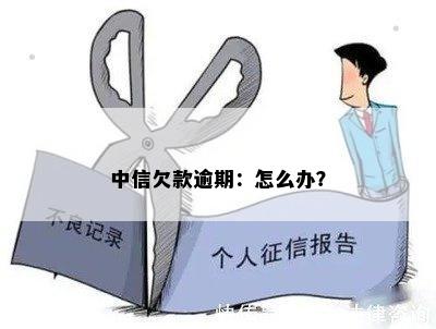 中信欠款逾期：怎么办？