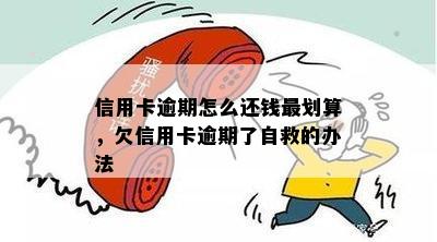 信用卡逾期怎么还钱最划算，欠信用卡逾期了自救的办法