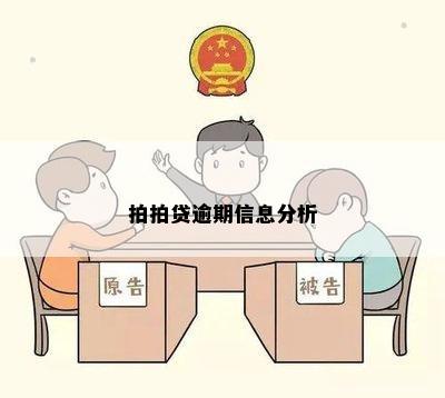 拍拍贷逾期信息分析