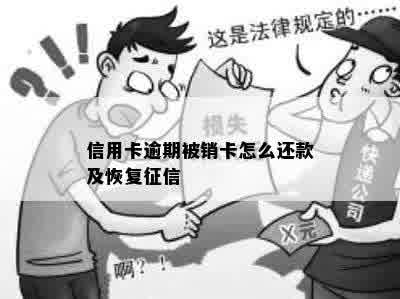 信用卡逾期被销卡怎么还款及恢复征信