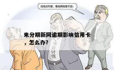 来分期新网逾期影响信用卡，怎么办？