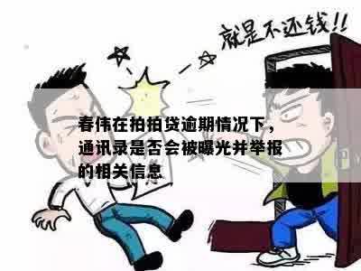 春伟在拍拍贷逾期情况下，通讯录是否会被曝光并举报的相关信息