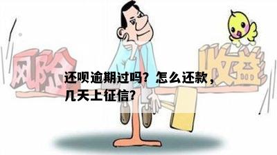 还呗逾期过吗？怎么还款，几天上征信？