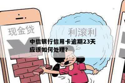 中信银行信用卡逾期23天应该如何处理？