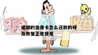 逾期的信用卡怎么还款的呀及恢复正常使用