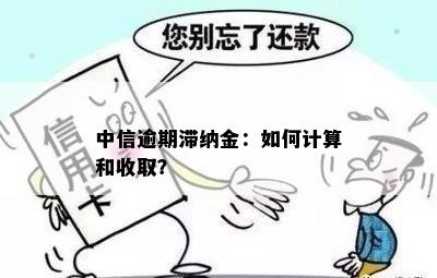 中信逾期滞纳金：如何计算和收取？