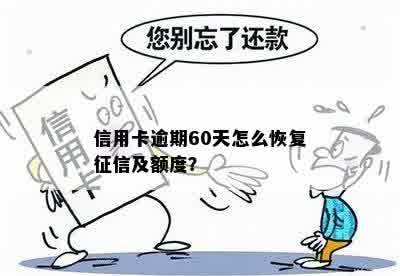 信用卡逾期60天怎么恢复征信及额度？